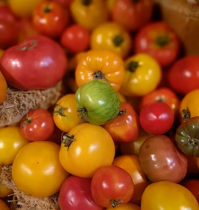 “Tomatoes: Taste the Rainbow, Savor the Health!”