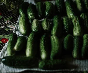 Homegrown Crunchy Dill Pickles