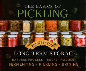 An Easy-to-Understand Guide to Pickling Basics: Unleash the Homemade Pickle Power