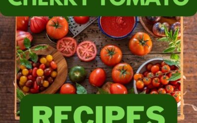 Cherry Tomato Recipe