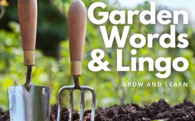 Gardening Definitions and Key Words